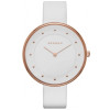 SKAGEN SKW2291